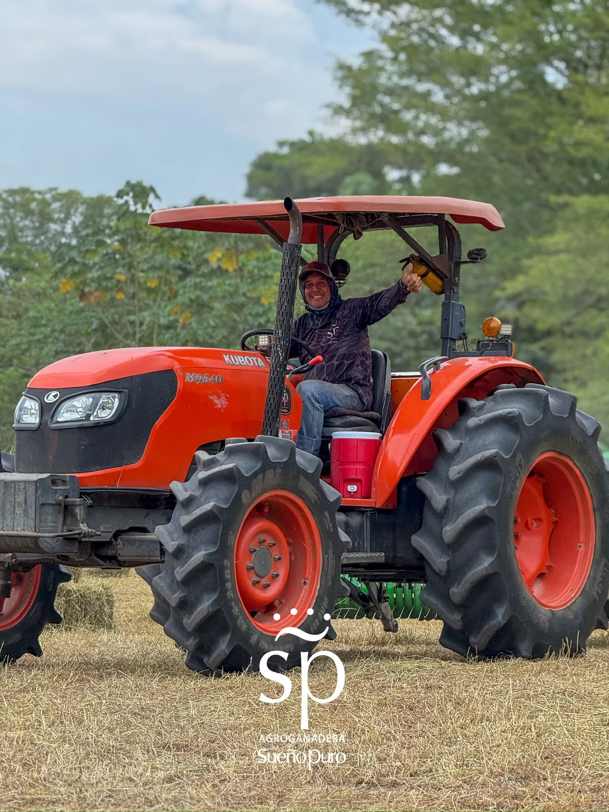 Una persona de nuestro equipo operando el tractor entre el forraje cortado.